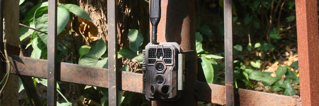 Peut-on jumeler plusieurs caméras de chasse avec une carte SIM ?