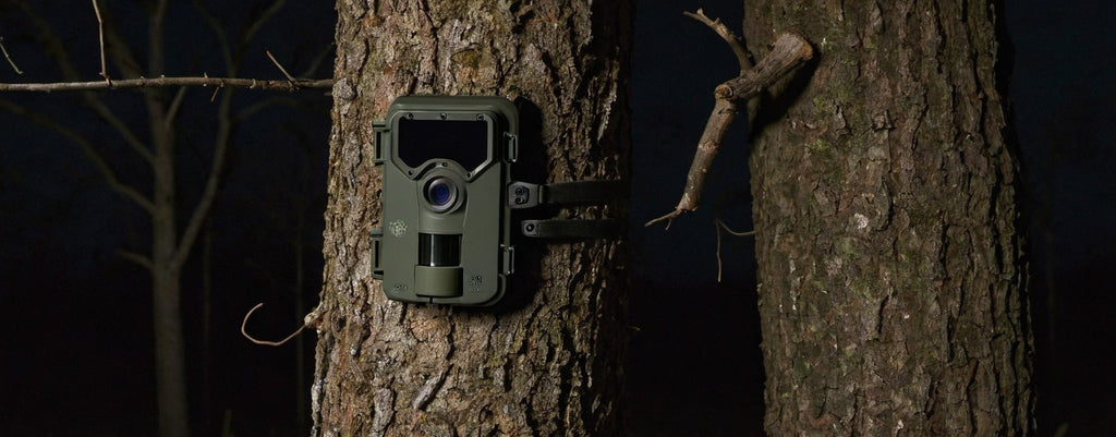 À quelle distance la camera de chasse prend les photos ?