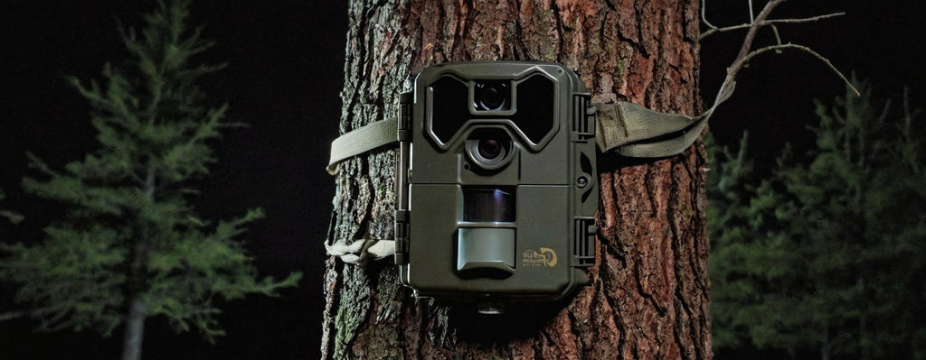 Comment fonctionne une caméra de chasse nocturne ?