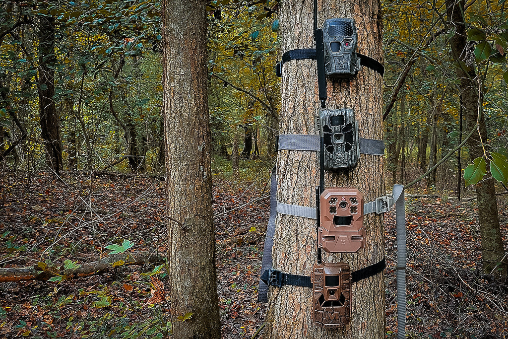 Comment fonctionne une caméra de chasse sans WiFi ?