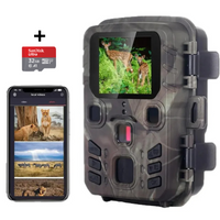 Mini Caméra de Chasse
