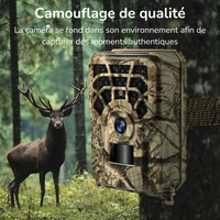 Caméra de Chasse surveillance professionnelle