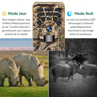 Caméra de Chasse surveillance professionnelle