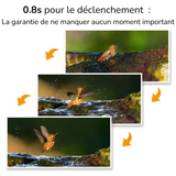 Caméra de Chasse surveillance professionnelle