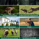 Caméra de Chasse surveillance professionnelle