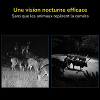 Caméra de Chasse surveillance professionnelle