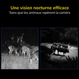 Caméra de Chasse surveillance professionnelle