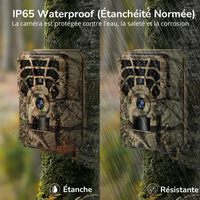 Caméra de Chasse surveillance professionnelle