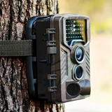 caméra de chasse wifi animaux