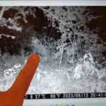 Caméra de chasse bien cachée hide camouflage 