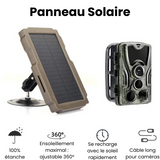 Panneau solaire pour Caméra de Chasse